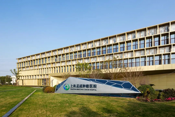 金螳螂上���孟���肿瘤医院项目施工纪�? />
                                                </a>
                                                </dd>
                                            <dt><a title=